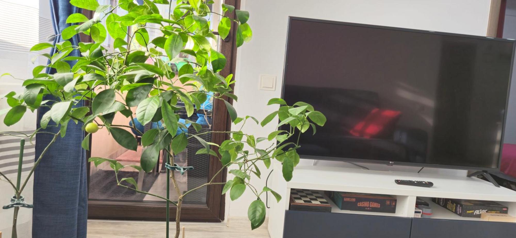 Littlebig Apartment 布加勒斯特 外观 照片